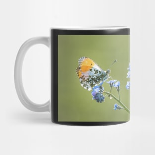 Orange Tip on Forget-me-not Mug